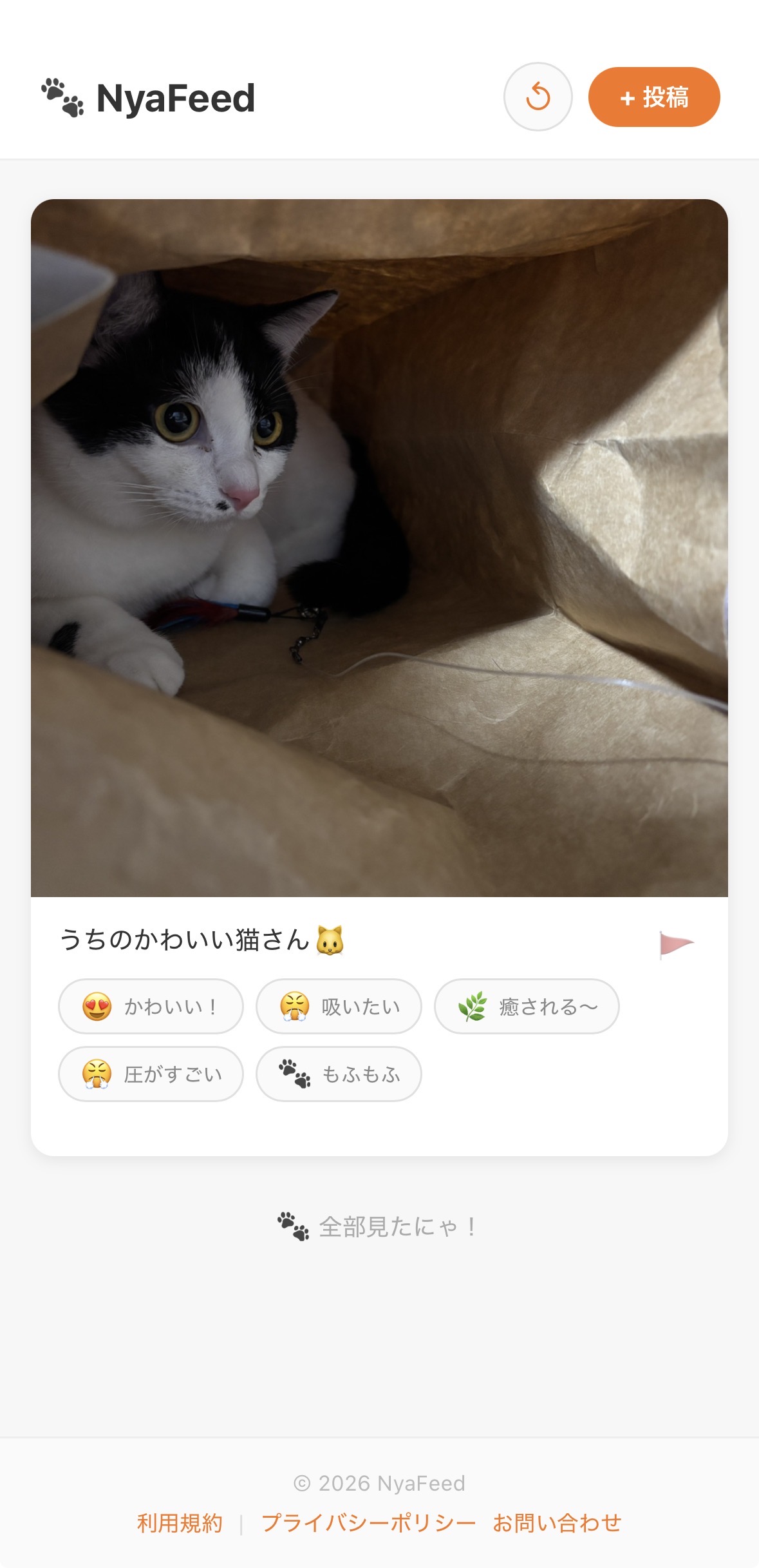 NyaFeed