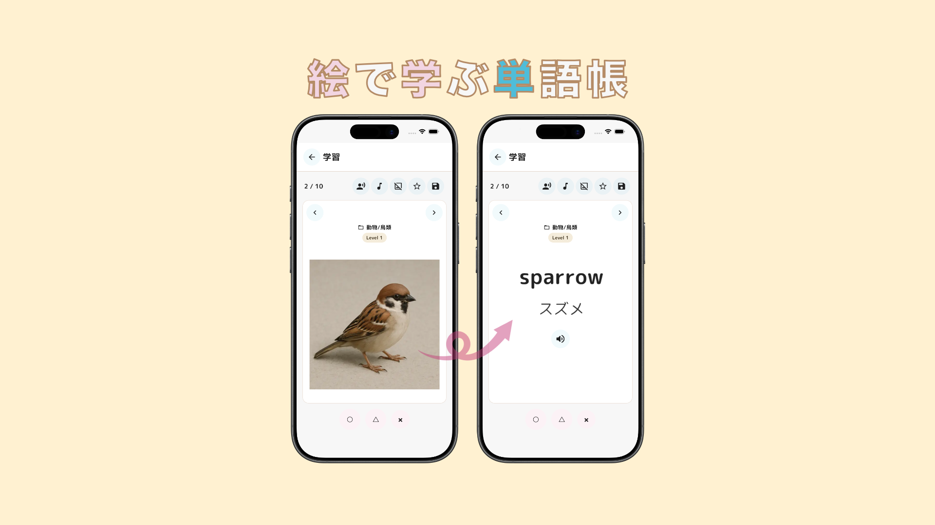 絵で学ぶ単語帳